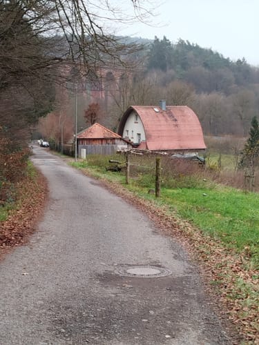 Rundwanderweg Erbach 9
