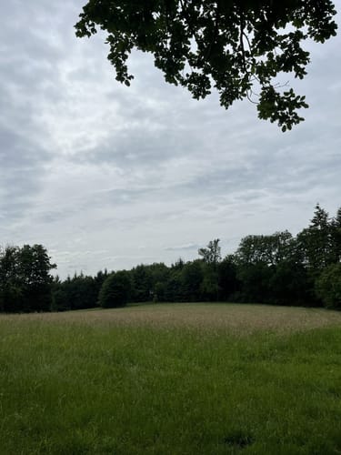 Erlebniswege Sieg: Der Holzweg