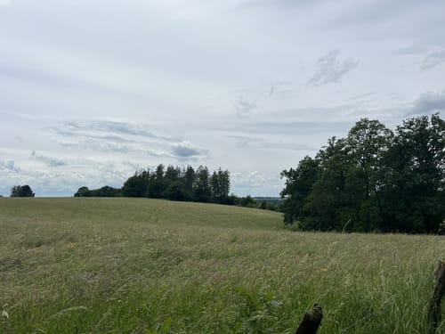 Erlebniswege Sieg: Der Holzweg