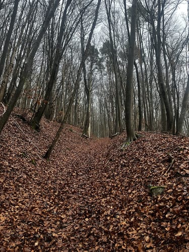 Hessische Schweiz P4 (Premiumwanderweg)