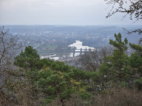 In die Urwälder: Spaziergang rund um Goßmannsdorf