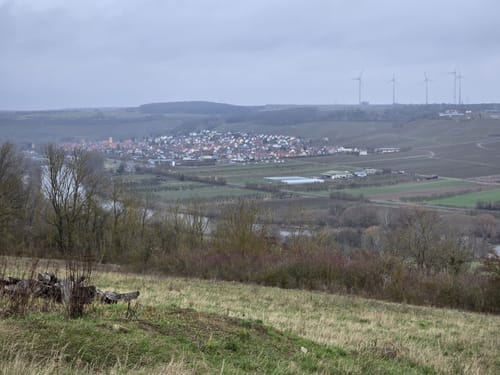 In die Urwälder: Spaziergang rund um Goßmannsdorf