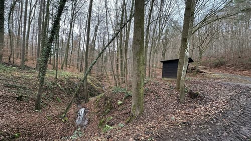 Hasenberg