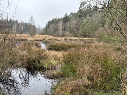 Franzosenwiesentour (Extratour)