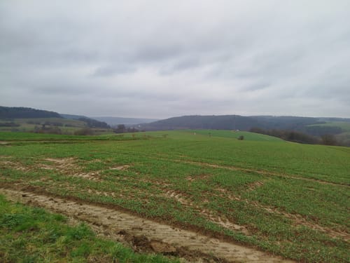 Bad König: Kinzigtal-Weg (BK 8)