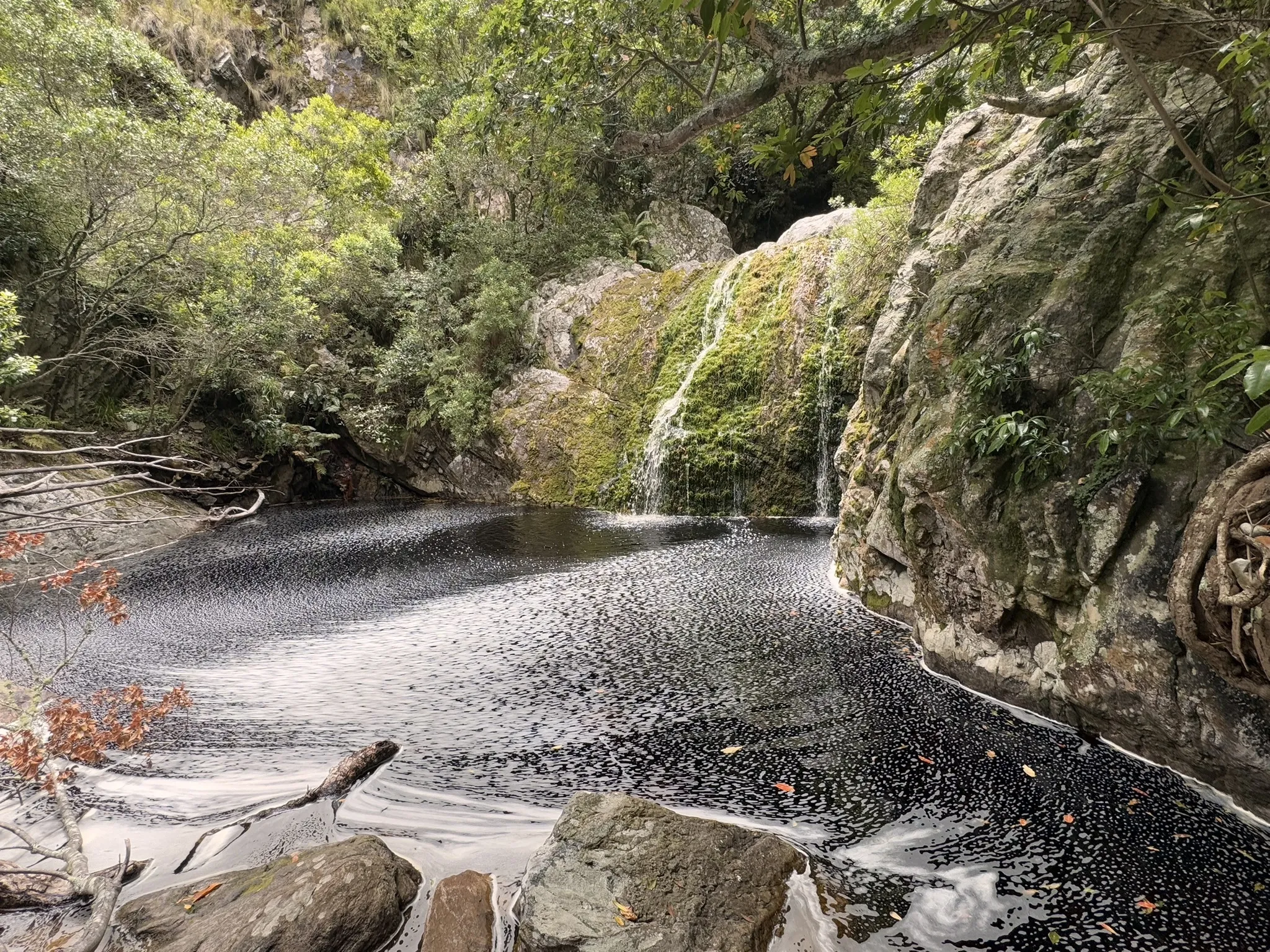 Photo of a trail from Elisha Karambakuwa with title Leopard's Kloof Trail