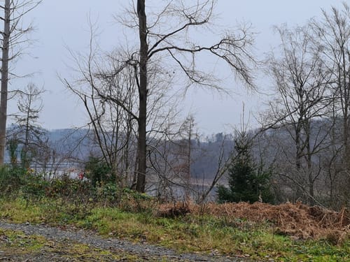Von Schneppenhurtz bis zur Wiehltalsperre