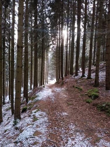 Rundwanderweg Würzberg 2: Mangelsbach-Weg