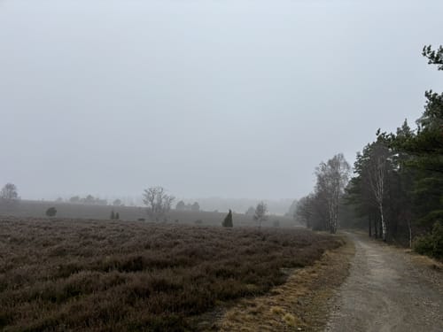 Südheide 'Kieselgur - das Gold der Heide' W5l (lange Tour)