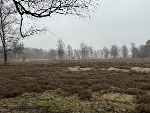 Südheide 'Kieselgur - das Gold der Heide' W5l (lange Tour)