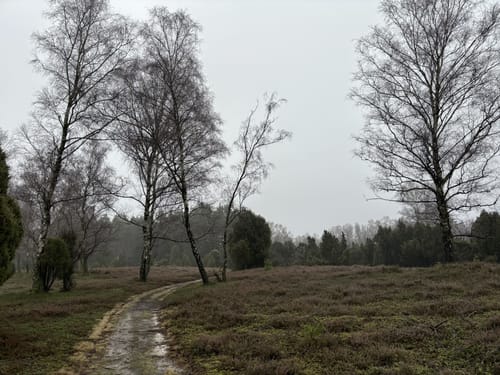 Südheide 'Kieselgur - das Gold der Heide' W5l (lange Tour)
