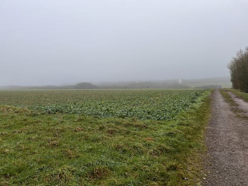 Bäche-Runde und Geierlay Hängebrücke