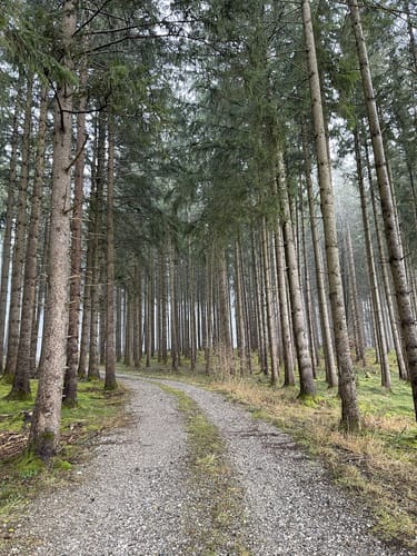 Kleine Trampelpfad-Runde in Marktoberdorf