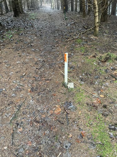 Kleine Trampelpfad-Runde in Marktoberdorf