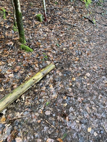 Kleine Trampelpfad-Runde in Marktoberdorf
