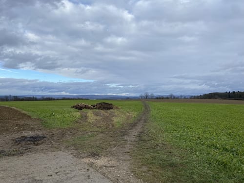 Erlangen - Hetzles