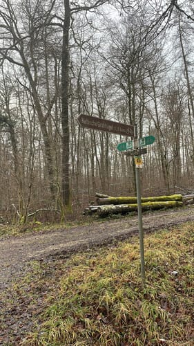 Hölschberg