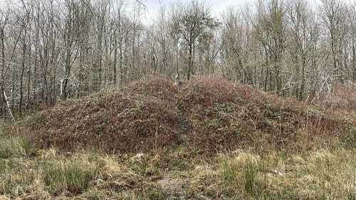 Hölschberg