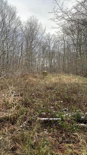 Hölschberg
