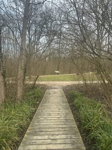 Durch den Grüttpark