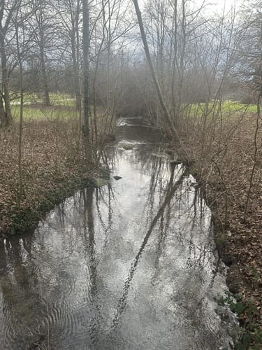 Durch den Grüttpark