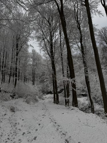 Kadenbacher Rundwanderweg K4