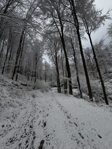 Kadenbacher Rundwanderweg K4