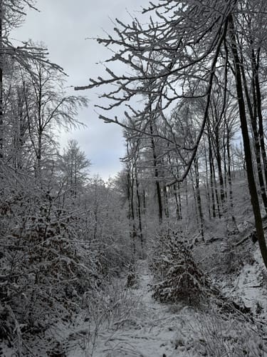 Kadenbacher Rundwanderweg K4