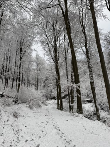 Kadenbacher Rundwanderweg K4