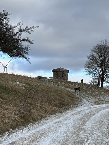 Weichselsteinweg