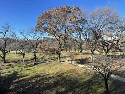 Tree-lined walking path and green space in Oak Lawn Dallas near Turtle Creek