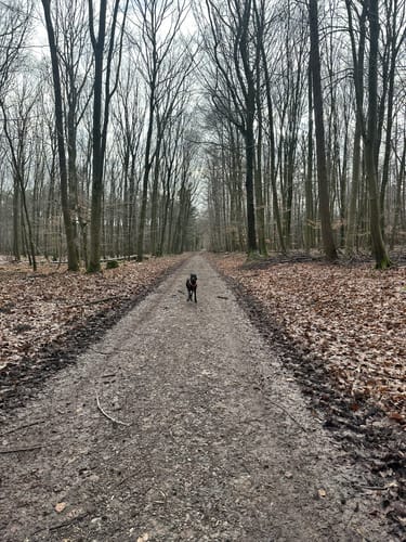Durch die nördliche Haard