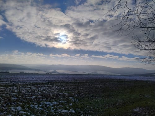 Soonwald (Traumschleife)
