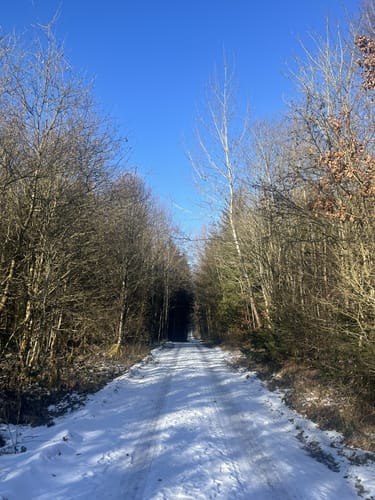 Rundweg zum Eichelberg