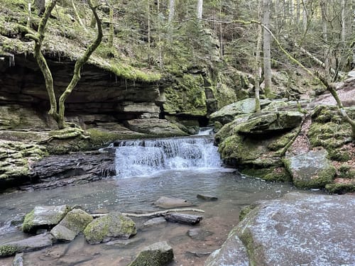 Durch die Monbachtal-Schlucht