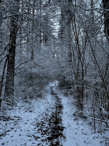 Gänsekerleweg P19 (Premiumwanderweg)