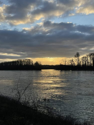 Auf dem Damm am Rhein: Um die Ketscher Rheininsel