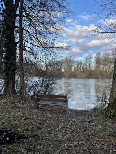 Auf dem Damm am Rhein: Um die Ketscher Rheininsel