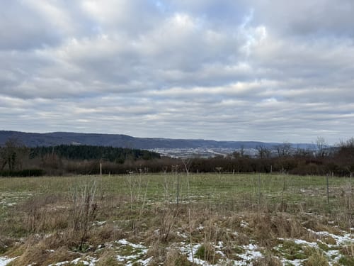 Von der Mosel rauf nach Roscheid