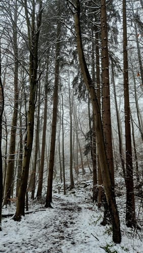 Schlupkothen Rundweg