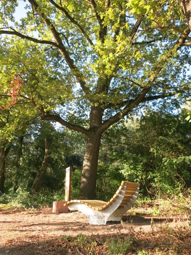 Rheinauen-Runde von Rastatt-Plittersdorf