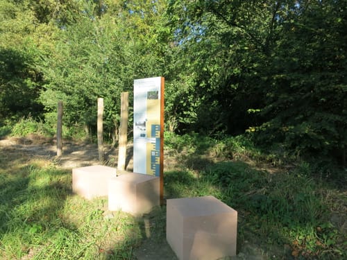 Rheinauen-Runde von Rastatt-Plittersdorf