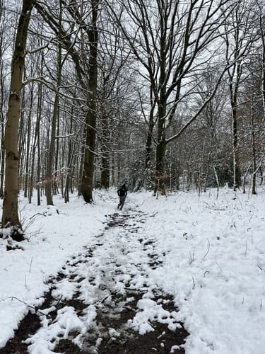 Ennepetal und Gevelsberger Stadtwald