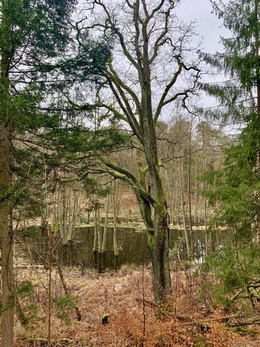 Von Siehdichum durchs Schlaubetal bis zum Wirchensee