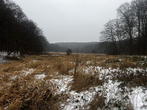 Durch den Nationalpark
