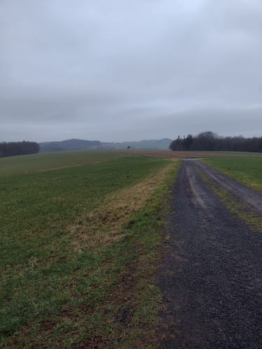 HeimatSpur Apolloniaweg