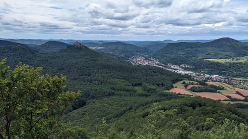 Birkweiler - kulinarischer Weinfrühling am Keschdebusch