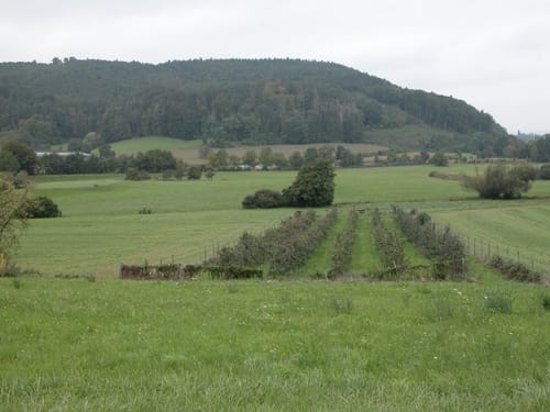 Radolfzell am Bodensee - Friedrichshafen