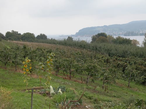 Bodensee Radweg Etappe 7: Stein am Rhein – Radolfzell