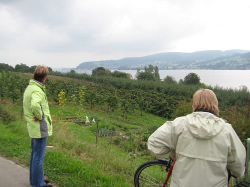 Bodensee Radweg Etappe 7: Stein am Rhein – Radolfzell